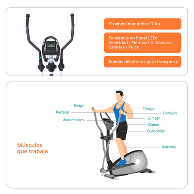 Elíptica Magnética El 450 Mgntc Con 8 Niveles